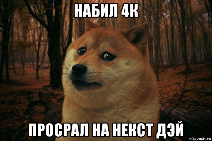 набил 4к просрал на некст дэй, Мем SAD DOGE