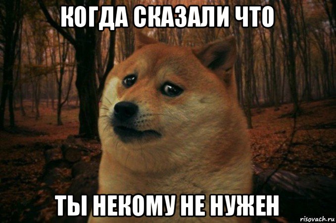 когда сказали что ты некому не нужен, Мем SAD DOGE