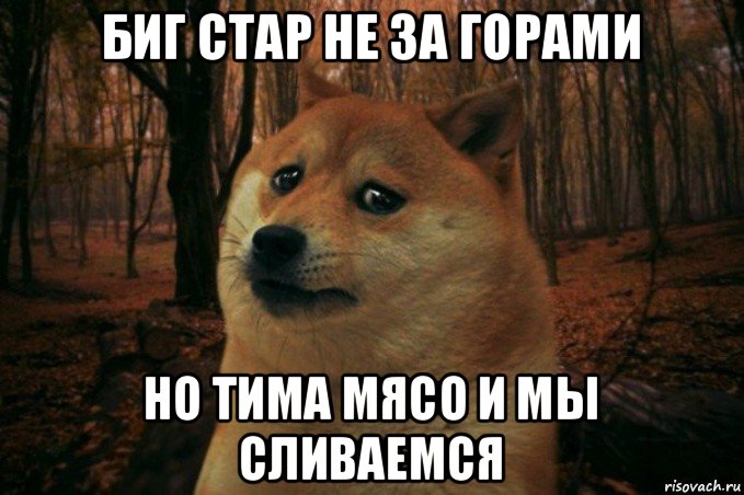 биг стар не за горами но тима мясо и мы сливаемся, Мем SAD DOGE