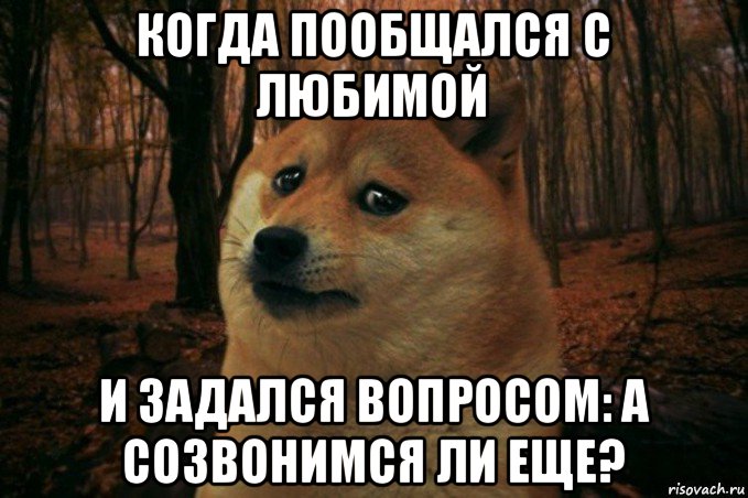 когда пообщался с любимой и задался вопросом: а созвонимся ли еще?, Мем SAD DOGE