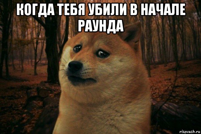 когда тебя убили в начале раунда , Мем SAD DOGE