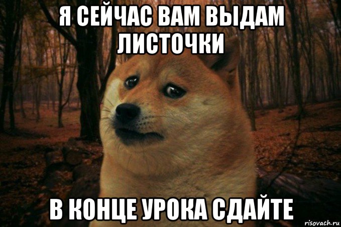 я сейчас вам выдам листочки в конце урока сдайте, Мем SAD DOGE