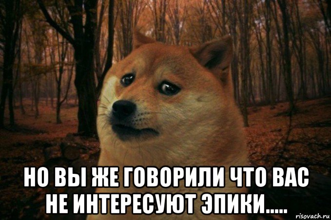  но вы же говорили что вас не интересуют эпики....., Мем SAD DOGE