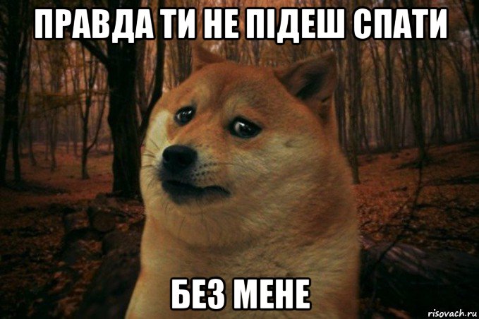 правда ти не підеш спати без мене, Мем SAD DOGE