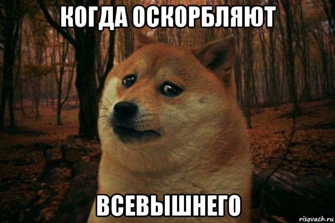 когда оскорбляют всевышнего, Мем SAD DOGE