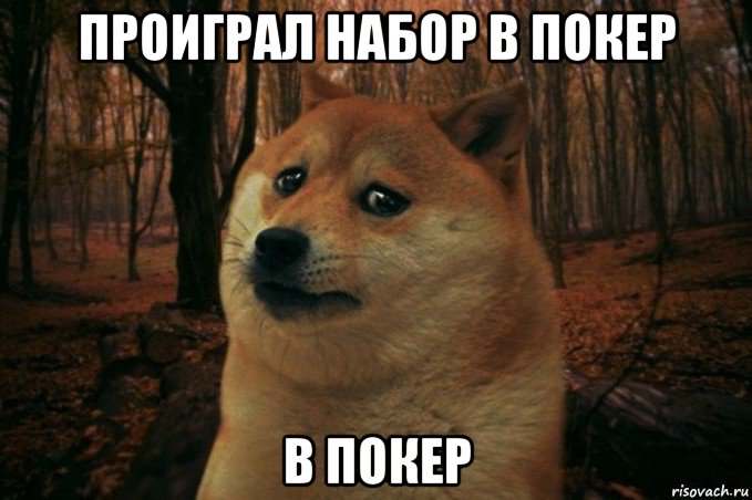 проиграл набор в покер в покер, Мем SAD DOGE