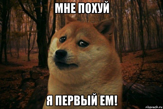 мне похуй я первый ем!, Мем SAD DOGE