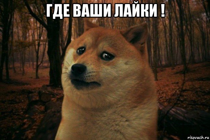 где ваши лайки ! , Мем SAD DOGE