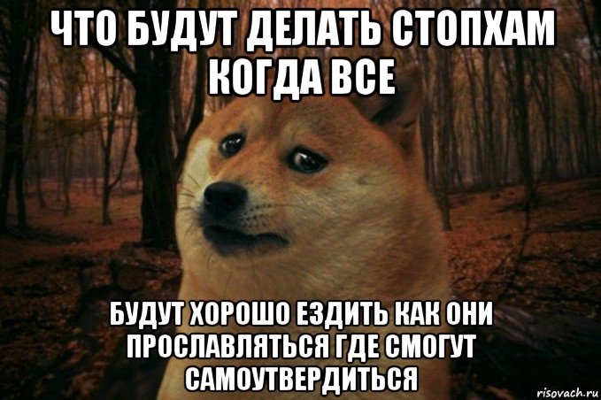 что будут делать стопхам когда все будут хорошо ездить как они прославляться где смогут самоутвердиться, Мем SAD DOGE