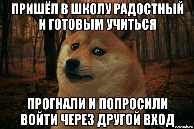 пришёл в школу радостный и готовым учиться прогнали и попросили войти через другой вход, Мем SAD DOGE