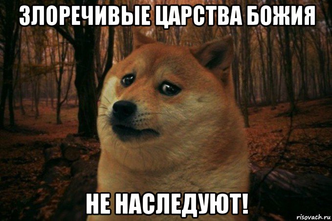 злоречивые царства божия не наследуют!, Мем SAD DOGE