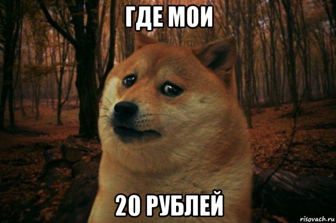 где мои 20 рублей, Мем SAD DOGE