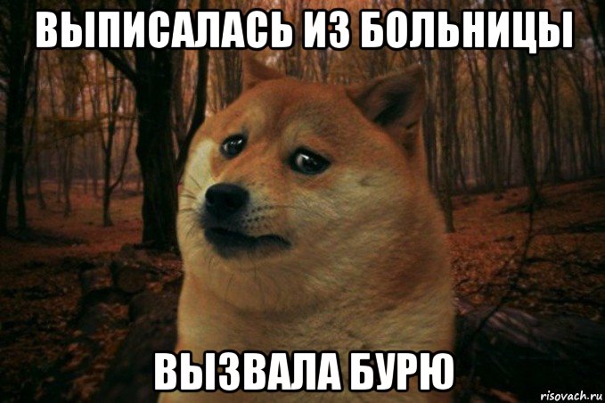 выписалась из больницы вызвала бурю, Мем SAD DOGE