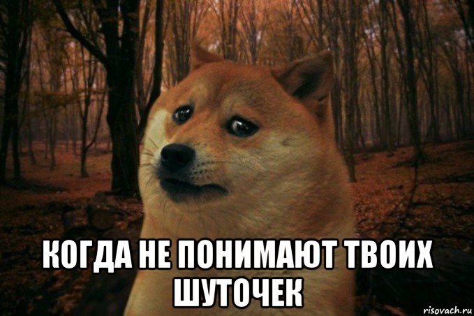  когда не понимают твоих шуточек, Мем SAD DOGE