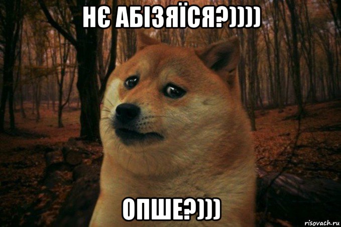 нє абізяїся?)))) опше?))), Мем SAD DOGE