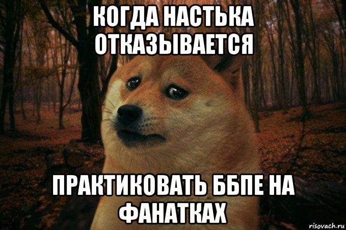 когда настька отказывается практиковать ббпе на фанатках, Мем SAD DOGE