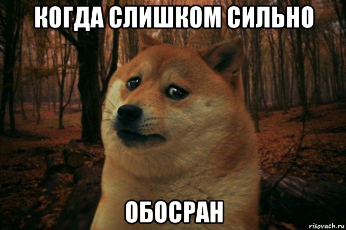 когда слишком сильно обосран, Мем SAD DOGE