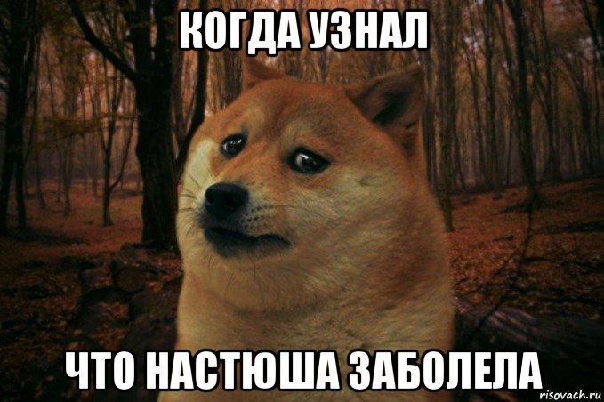 когда узнал что настюша заболела, Мем SAD DOGE