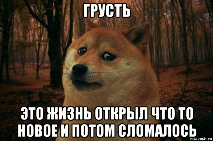 грусть это жизнь открыл что то новое и потом сломалось, Мем SAD DOGE