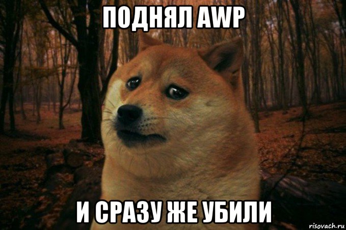 поднял awp и сразу же убили, Мем SAD DOGE