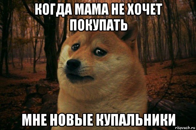 когда мама не хочет покупать мне новые купальники, Мем SAD DOGE