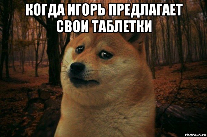 когда игорь предлагает свои таблетки , Мем SAD DOGE