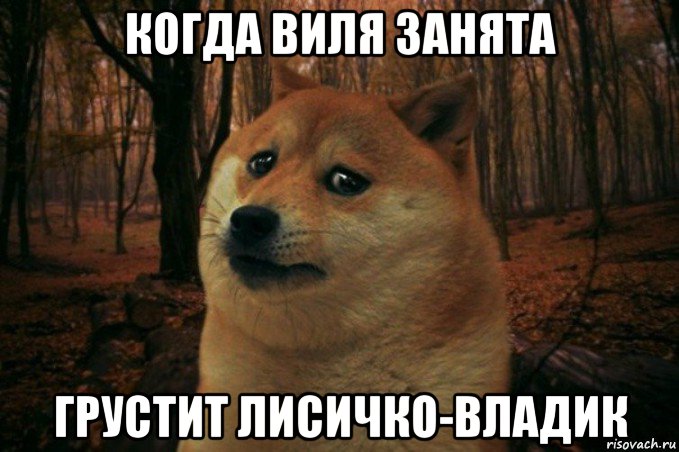 когда виля занята грустит лисичко-владик, Мем SAD DOGE