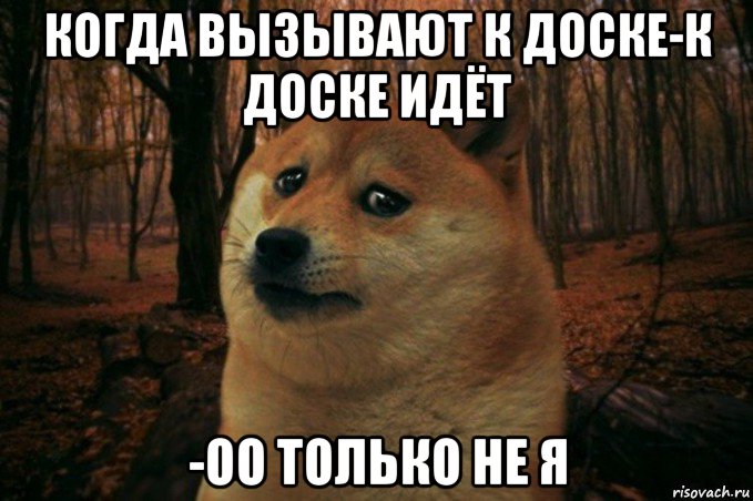 когда вызывают к доске-к доске идёт -оо только не я, Мем SAD DOGE