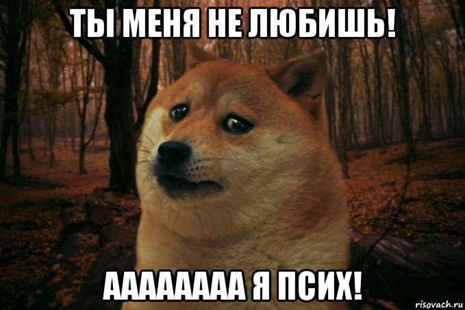 ты меня не любишь! аааааааа я псих!, Мем SAD DOGE