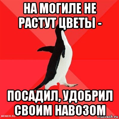 на могиле не растут цветы - посадил, удобрил своим навозом, Мем  социально-агрессивный пингвин