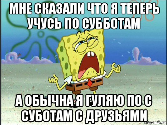 мне сказали что я теперь учусь по субботам а обычна я гуляю по с суботам с друзьями, Мем Спанч Боб плачет