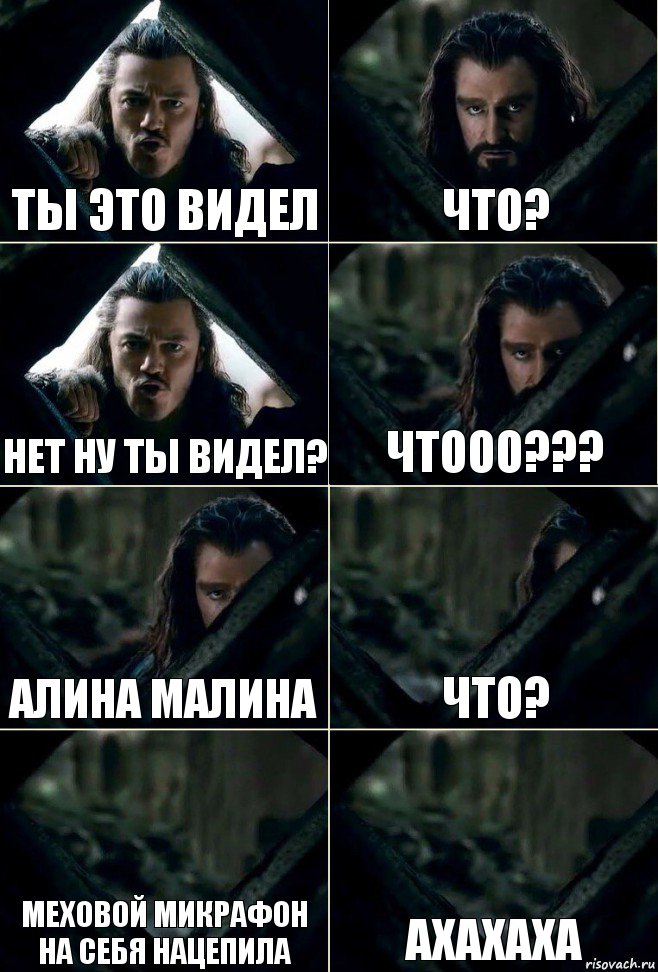 ты это видел что? нет ну ты видел? чтооо??? алина малина что? меховой микрафон на себя нацепила ахахаха, Комикс  Стой но ты же обещал