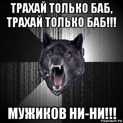 трахай только баб, трахай только баб!!! мужиков ни-ни!!!, Мем Сумасшедший волк