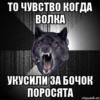 то чувство когда волка укусили за бочок поросята, Мем Сумасшедший волк