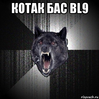 котак бас bl9 , Мем Сумасшедший волк