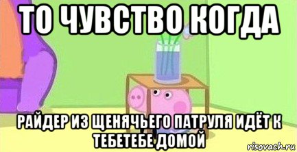 то чувство когда райдер из щенячьего патруля идёт к тебетебе домой, Мем  Свинка пеппа под столом