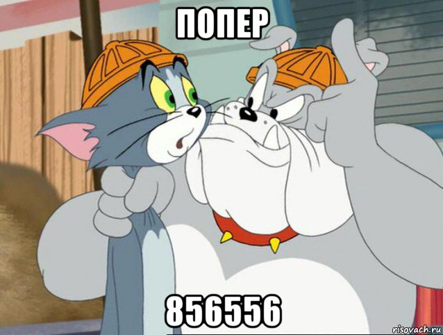 попер 856556