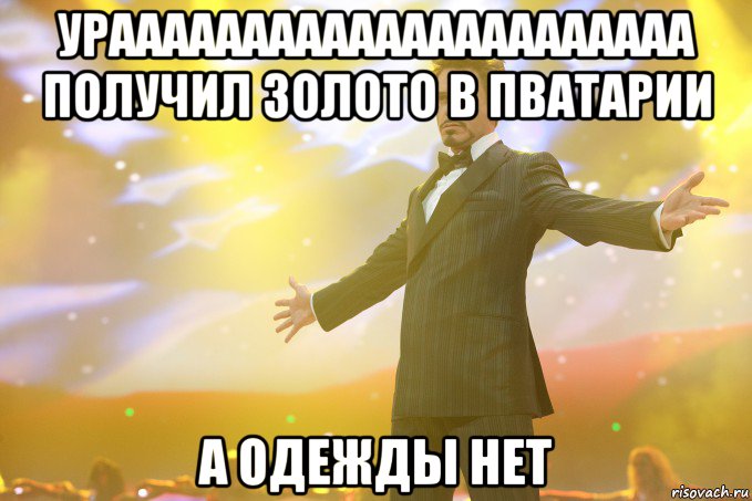 ураааааааааааааааааааааа получил золото в пватарии а одежды нет, Мем Тони Старк (Роберт Дауни младший)