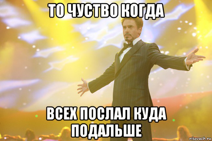 то чуство когда всех послал куда подальше, Мем Тони Старк (Роберт Дауни младший)