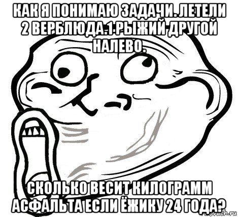 как я понимаю задачи. летели 2 верблюда.1 рыжий другой налево. сколько весит килограмм асфальта если ёжику 24 года?, Мем  Trollface LOL