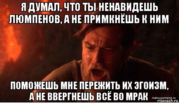 я думал, что ты ненавидешь люмпенов, а не примкнёшь к ним поможешь мне пережить их эгоизм, а не ввергнешь всё во мрак, Мем ты был мне как брат