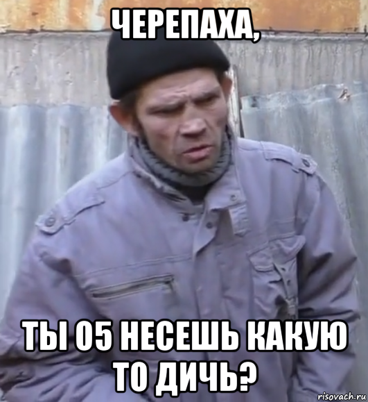 черепаха, ты о5 несешь какую то дичь?, Мем  Ты втираешь мне какую то дичь