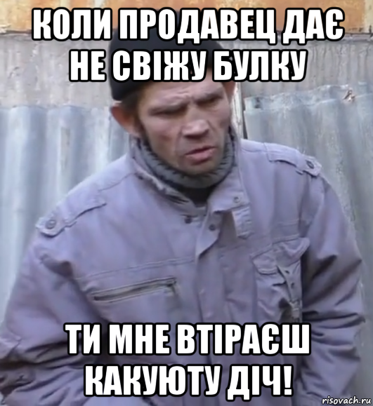 коли продавец дає не свіжу булку ти мне втіраєш какуюту діч!, Мем  Ты втираешь мне какую то дичь