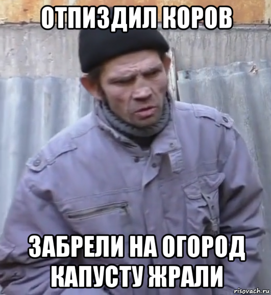 отпиздил коров забрели на огород капусту жрали, Мем  Ты втираешь мне какую то дичь