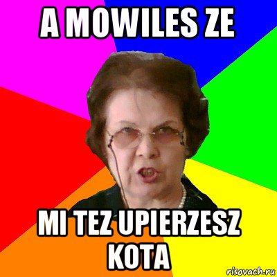 a mowiles ze mi tez upierzesz kota, Мем Типичная училка