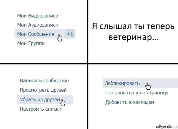 Я слышал ты теперь ветеринар..., Комикс  Удалить из друзей