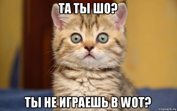 та ты шо? ты не играешь в wot?