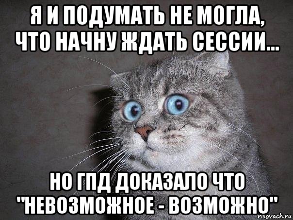 я и подумать не могла, что начну ждать сессии... но гпд доказало что "невозможное - возможно", Мем  удивлённый кот