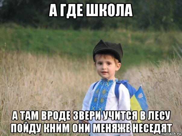 а где школа а там вроде звери учится в лесу пойду кним они меняже неседят