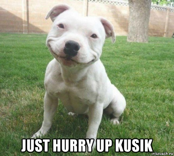  just hurry up kusik